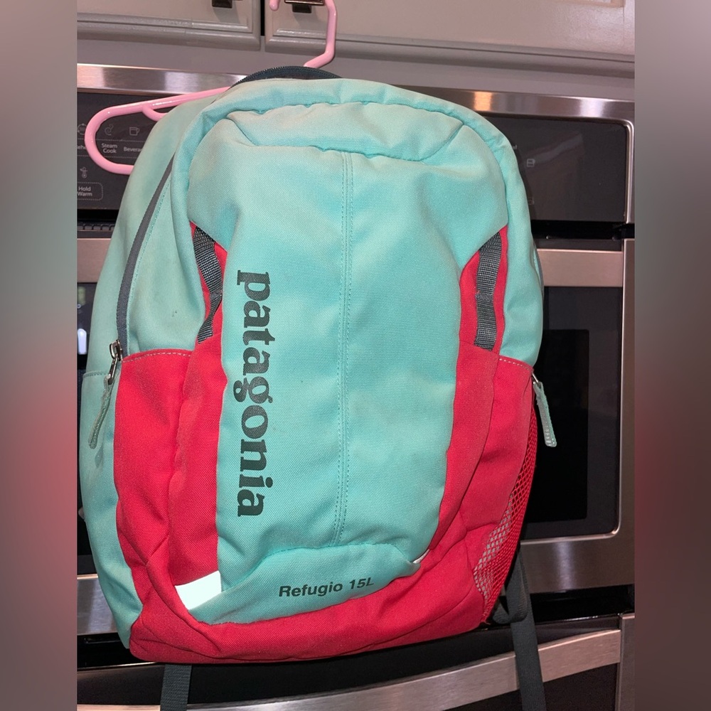 Patagonia Refugio 15L Backpack in Mint